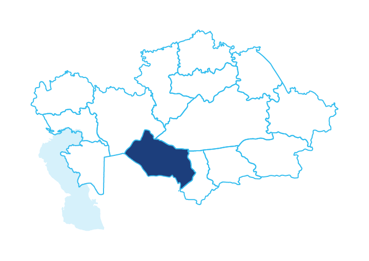 Проект Тургай палеозой